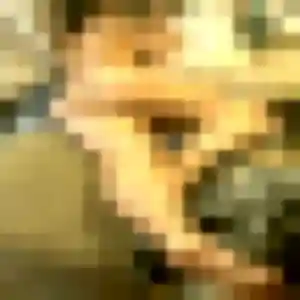 Photo de Perrine à Bezons (37 ans) - rencontre plan cul gratuit