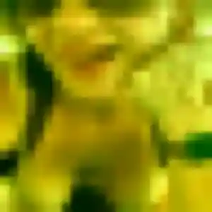 Jolie Rachel, 38 ans à Bonchamp-lès-Laval - la contacter