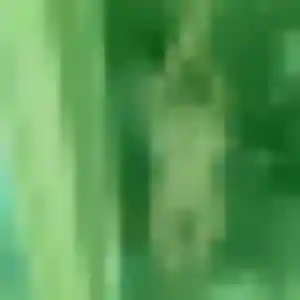 Nafi, 22 ans, connectée à Bouaye pour une rencontre coquine