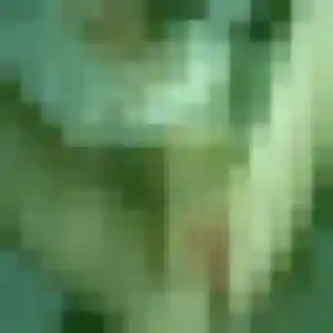 Rejoins Delphine, 44 ans à Bouguenais en privé