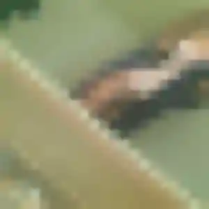 Photo perso de Adja, 27 ans à Chambéry - rencontre coquine