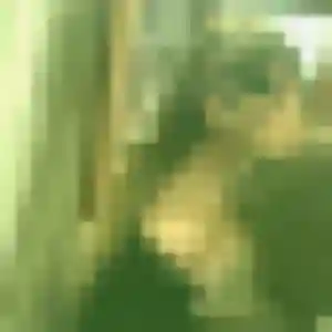 Rencontre Bérénice, 32 ans à Clermont-l'Hérault en privé