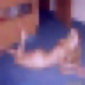 Omolara, fille de 34 ans propose rencontre plan cul à Combs-la-Ville