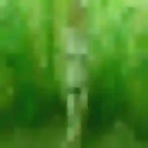 Photo de Arame à Commentry (19 ans) - rencontre plan cul discret