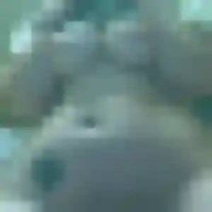 Rokhaya, 39 ans, dispo pour rencontre plan cul à Courcelles-lès-Lens