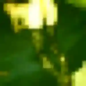 Charmante Ehui, 45 ans à Cuincy - la contacter