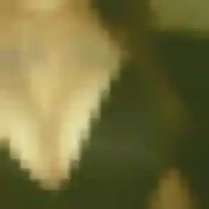 Salomé, femme de 23 ans cherche rencontre plan cul à Decazeville