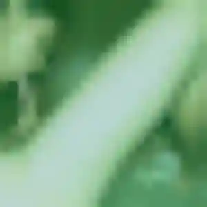 Wangari, 43 ans, connectée à Épinal pour une rencontre coquine