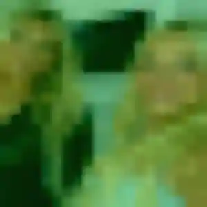 Photo de Madeleine à Épinay-sous-Sénart (27 ans) - rencontre plan cul gratuit