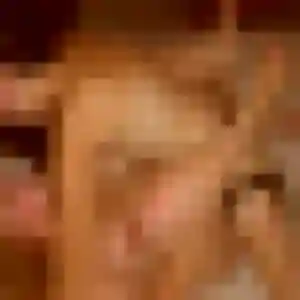 Daphné, 45 ans, dispo pour rencontre plan cul à Feignies