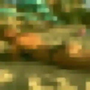 Sarah, 19 ans, connectée à Foix pour une rencontre coquine