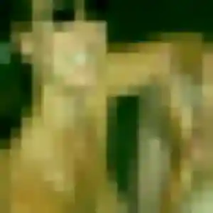 Photo sexy de Exaucée, 32 ans à Gardanne - plan discret