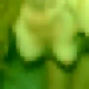 Contacte Rokhaya, 44 ans à Geispolsheim en t'inscrivant