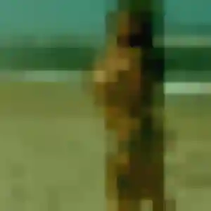 Photo privée de Ramatoulaye, 31 ans à Gennevilliers - plan discret