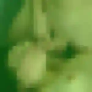 Félicité, 36 ans, en ligne à Gérardmer pour une rencontre coquine