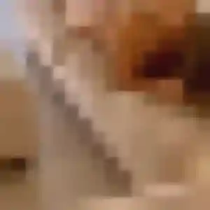 Pénélope (26 ans) à Grasse cherche un rencontre plan cul maintenant
