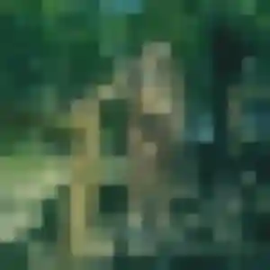 Kimberley, 34 ans, connectée à Guémené-Penfao pour une rencontre coquine