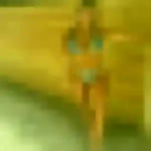 Photo de Khady à Hauts de Bienne (29 ans) - rencontre plan cul anonyme