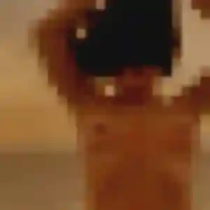 Photo exclusive de Sandrine, 20 ans à Joué-lès-Tours - rencontre coquine