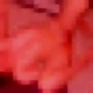 Contacte Dorothée, 21 ans à Juvisy-sur-Orge gratuitement