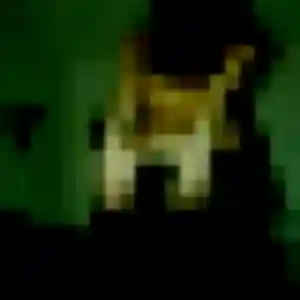 Hortense, 28 ans, connectée à La Chapelle-Saint-Mesmin pour une rencontre coquine