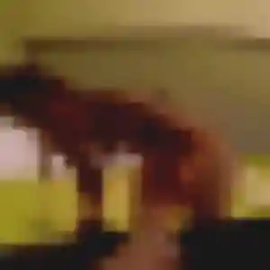 Njeri, 37 ans, connectée à La Roche-sur-Yon pour un rencontre plan cul