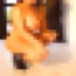 Profil de Grace à La Valette-du-Var (34 ans) - rencontre plan cul gratuit