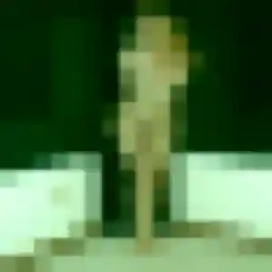 Profil de Zara à Labarthe-sur-Lèze (23 ans) - rencontre plan cul gratuit