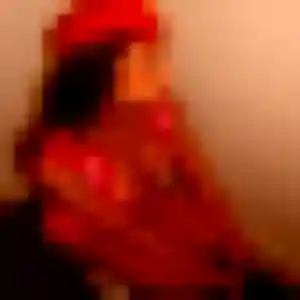 Photo privée de Sandrine, 40 ans à Lallaing - plan discret
