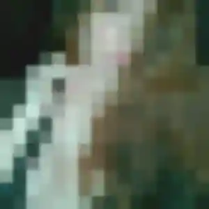 Céline, femme de 43 ans cherche rencontre plan cul à Lannemezan
