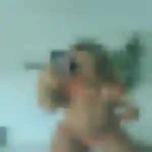 Téning, 20 ans, dispo pour rencontre plan cul à Le Barp