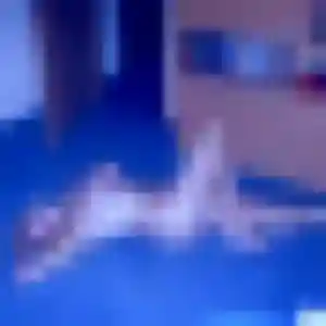 Nicole, femme de 28 ans propose rencontre plan cul à Le Chesnay-Rocquencourt