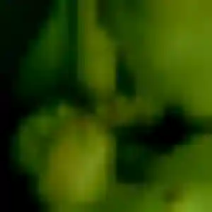Naëlle, 36 ans, connectée à Le Rove pour une rencontre coquine