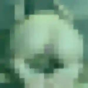 Sexy Titilayo, 37 ans à Lens - voir sa photo