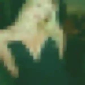 Bernadette, 31 ans, cherche un rencontre plan cul à Léognan