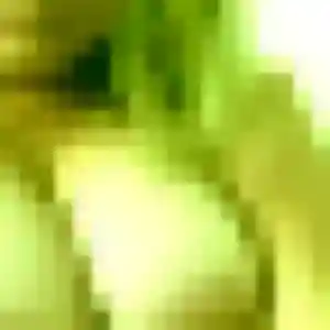 Jolie Ursula, 42 ans à Lorient - la contacter