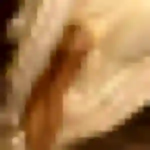Photo exclusive de Amani, 33 ans à Montauban-de-Bretagne - rencontre coquine