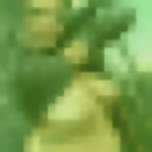 Photo de Chiamaka à Mouguerre (44 ans) - rencontre plan cul sans inscription