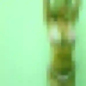 Perpétue, femme de 21 ans cherche rencontre plan cul à Mouy
