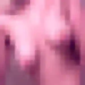 Priscilla, 26 ans, dispo pour rencontre plan cul à Mulhouse