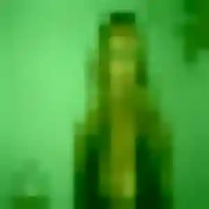 Contacte Salomé, 37 ans à Neuville-sur-Saône gratuitement