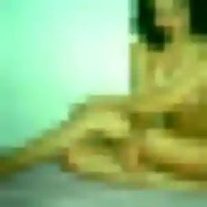 Photo sexy de Eugénie, 29 ans à Noves - rencontre sans lendemain
