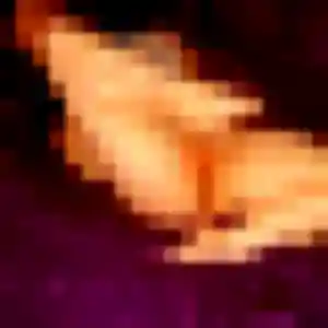 Célestine, 20 ans, disponible à Penmarch pour une rencontre coquine