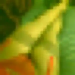 Photo privée de Tessa, 30 ans à Quesnoy-sur-Deûle - plan discret