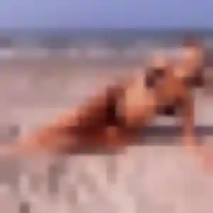 Photo sexy de Irène, 39 ans à Rezé - plan discret