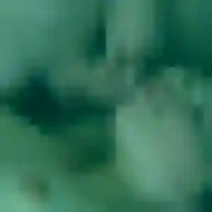 Sandrine, 35 ans, connectée à Rivière-Salée pour un rencontre plan cul