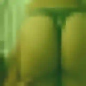Patience, femme de 37 ans veut rencontre plan cul à Roanne