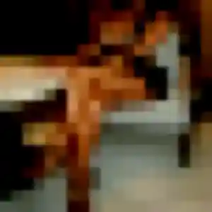 Photo exclusive de Linda, 35 ans à Roncq - rencontre coquine
