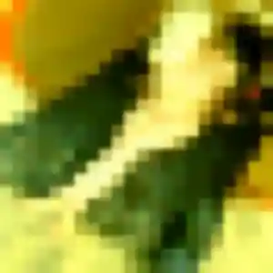 Zawadi, 40 ans, veut un rencontre plan cul à Rosporden