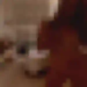 Aida, 24 ans, en ligne à Saint-Aubin-lès-Elbeuf pour une rencontre coquine